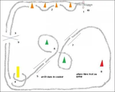 Ce genre de  jeu   cheval s'appelle :