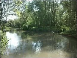 Quelles rgions sont traverses par la Vesle ?