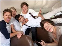 Les One Direction est un groupe compos de :
