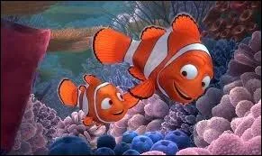 Comment s'appelle le pre de Nmo ?