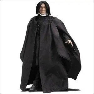 Voici un autre personnage important de la saga Harry Potter, reconnaissable  sa coupe de cheveux. Qui est-ce ?