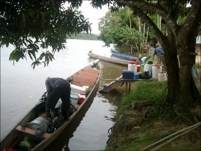 Dans ce pays, on peut voir passer un toucan !