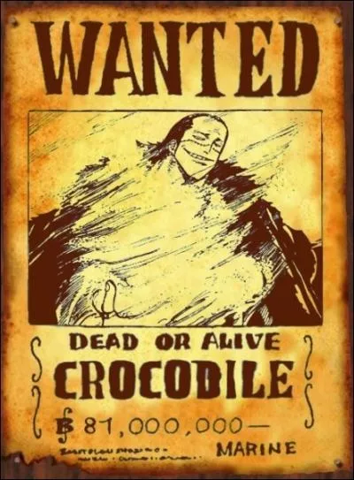 Qui coupe littralement la tte de Sir Crocodile aprs qu'il ait choisi de sauver celle d'Ace pendant la Grande Guerre  Barbe Blanche vs Marine   MarineFord ?
