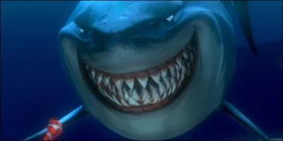 Voisin de la famille Nemo, voici... . .