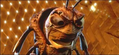 On retrouve le dans ...