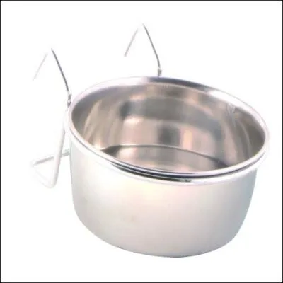 Doit-on rajouter de la vitamine C dans l'eau des lapins ?