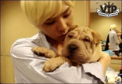 Quel animal de compagnie a-t-il ?