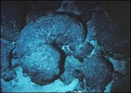 Emis sous l'eau, le basalte peut donner 