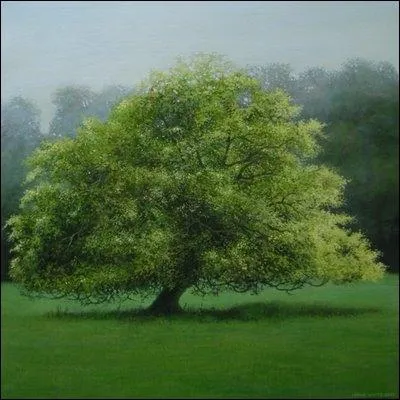 Comment se traduit  htre  en anglais ?