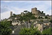 Quelle est cette ville de Corrze o l'on peut admirer ses tours Csar et du Trsor, dont Henri de la Tour d'Auvergne fut le vicomte ?