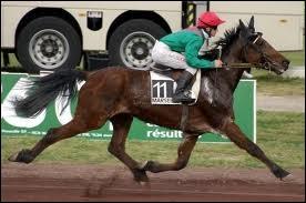 Quelle est cette allure ?