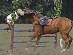 Qu'est-ce que l'assiette ?