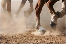 Quelle est la partie du pied la plus sensible ?