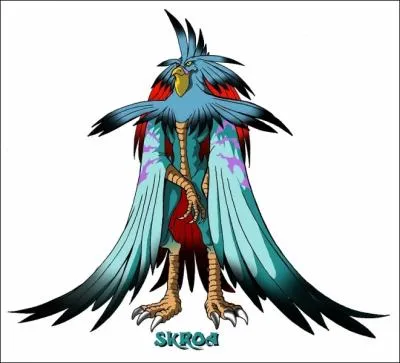 Qui est Skroa ?