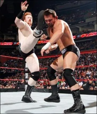 Quelle est la prise de cette finition ?