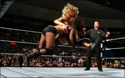 Quelle est la prise de cette finition ?