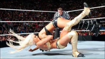 Quelle est la prise de cette finition ?