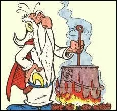 Comment s'appelle ce vieux sage qui prpare la potion magique ?