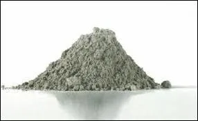 Quel animal peut merger du ciment ?