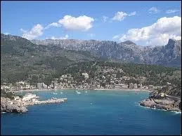 Quel animal a inspir le nom des les Canaries ?