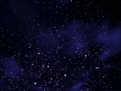 Regarde ... ... toiles : elles sont vraiment magnifiques !