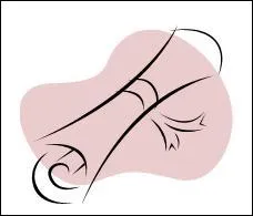 Paul Paray fut honor des plus hautes distinctions en France, aux USA et  Monaco. Quelle est celle qui ne figure pas  son palmars ?