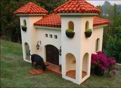 Quelle extraordinaire niche, si grande pour ce chien ! Quel chanceux ! En anglais comment dit-on 'niche' ?