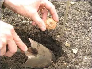 Quelle action est traduite  travers cette image ?