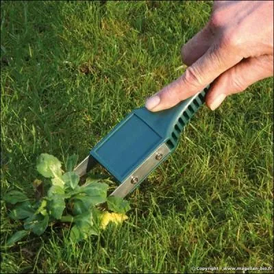 Que c'est embtant les mauvaises herbes ! Faites comme lui, au lieu d'utiliser des dsherbants ! En anglais, comment dit-on 'mauvaises herbes' ?