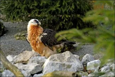 Suis-je visible en France mtropolitaine ?