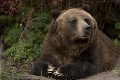 Suis-je visible en France mtropolitaine ?