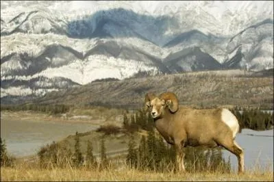 Suis-je visible en France mtropolitaine ?