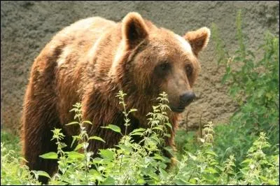 Suis-je visible en France mtropolitaine ?
