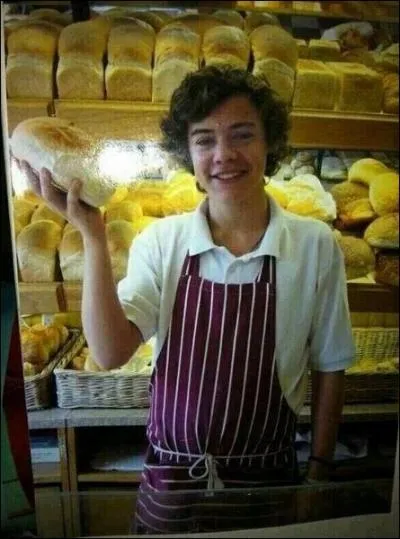 Avant de faire partie du groupe One direction, Harry se faisait de l'argent en faisant le mtier de :