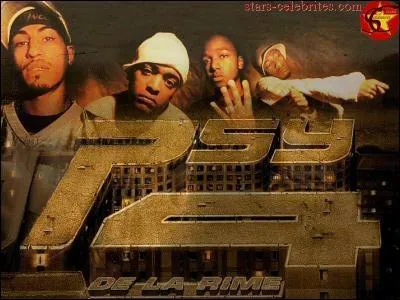 Il fait partie du groupe les psy 4 de la rime .