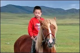 Dans ces pays, on est pas drang par les voisins... Quels pays possdent la plus faible densit de population (habitants/km) ?