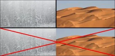 Le cairn terrier est plutt rsistant ...