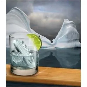 C'est la fermeture ! Alors pour terminer et afin de bien faire pleurer votre portefeuille, je vous propose un dernier article, le :