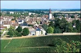 La localit de Nuits-Saint Georges est rpute pour son vignoble. Quel est son dpartement ?