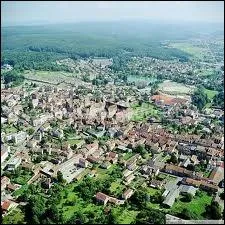 Associez la ville thermale de Luxeuil-les-Bains  son dpartement ?