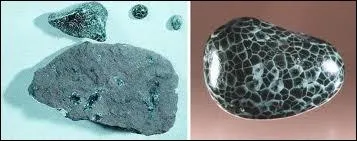 Je crois bien que c'est une :