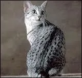 Qu'en est-il de celle-ci ?