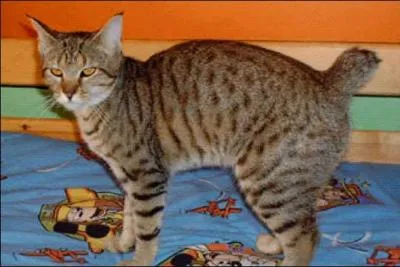 Quelle est celle-ci ?