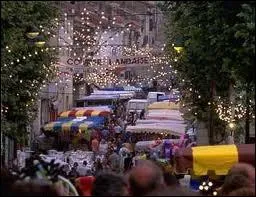 L'image reprsente les Ftes de Vic-Fezensac. O est situ ce lieu ?