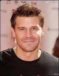 Dans quelle s�rie David Bor�anaz n'a-t-il pas jou� ?