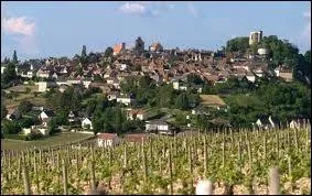 O se trouve la cit viticole de Sancerre ?