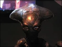 Qui en est le ralisateur ?