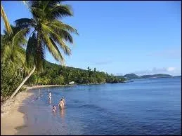 L'image reprsente l'Anse de Rivire-Pilote. Quel en est le dpartement ?