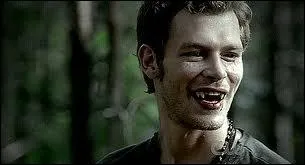 Comment s'appelle cet hybride ?