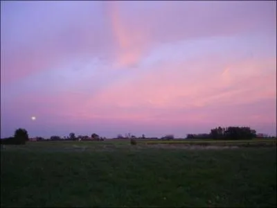 Le gant des Flandres est :